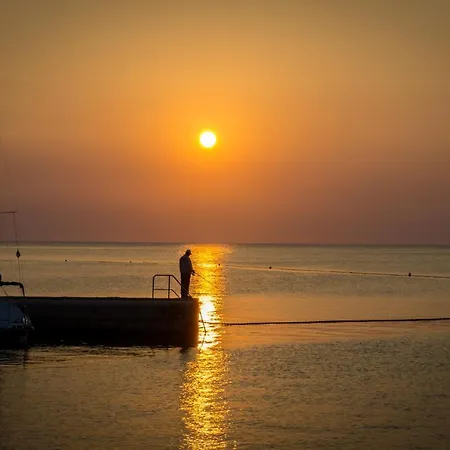 Istriana By Istrian * Koper