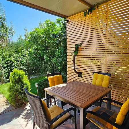 Istriana By Istrian *