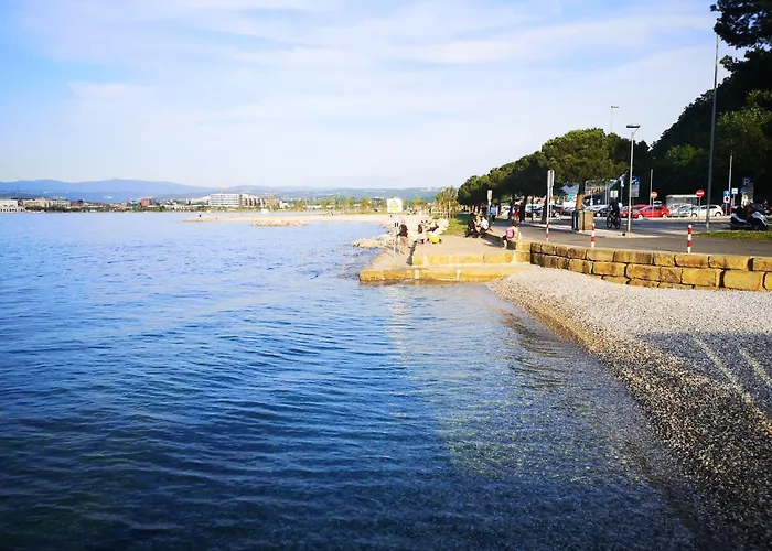 Istriana By Istrian * 코페르